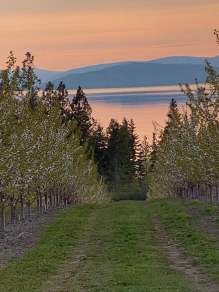 Nhn Sunset Vista Ln, Polson, MT 59860