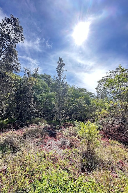 0 Koa Ln Unit 711680, Ocean View, HI 96737