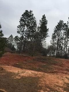 0 Cornerstone Ct Unit 7163218, Mobile, AL 36608