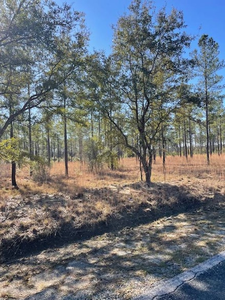 TBD Possum Corner Rd, Early Branch, SC 29916