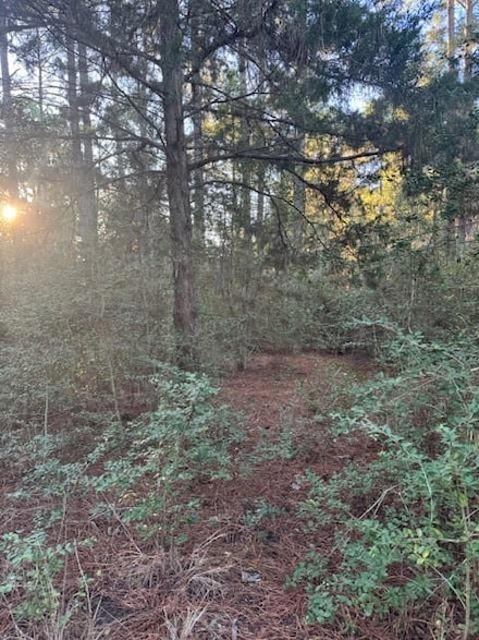 107 Lake Point Way, Circle D-Kc Estates, TX 78602