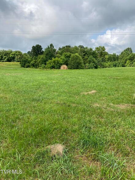 179 Plantation Dr, Rogersville, TN 37857