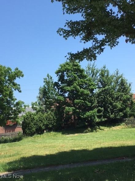 V/L V L Case (Corner Lot) Ave, Lyndhurst, OH 44124