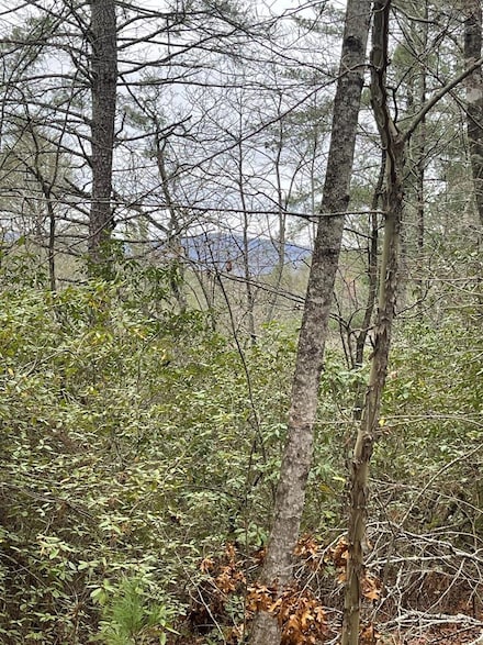 00 Hidden Falls Dr, Clayton, GA 30525
