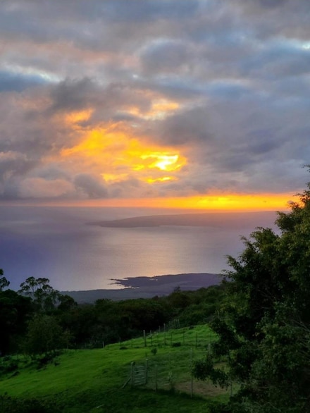 2239 Upper Kanaio Rd, Kula, HI 96790