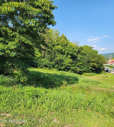 280 Bear Ln, Tellico Plains, TN 37385