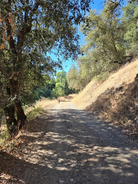 0 Greenwood Rd, Garden Valley, CA 95633