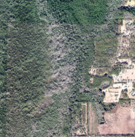 0000 County Road 1471, Waldo, FL 32694