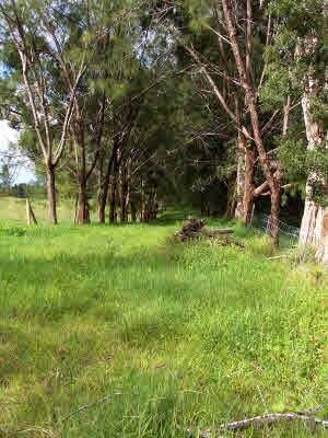 0 S Kopua Rd Unit 706534, Volcano, HI 96785