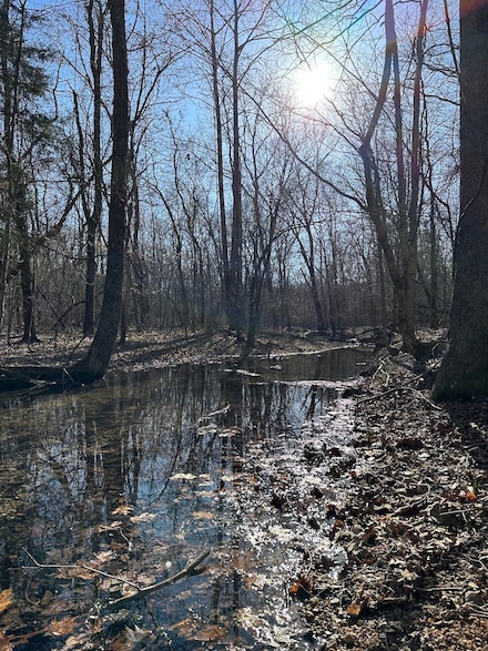 0 Log Rd Unit Lot WP001 22999836, Logan Township, MO 63957