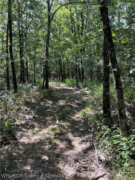 Tract A TBD N 4550 Rd, Whitesboro, OK 74577
