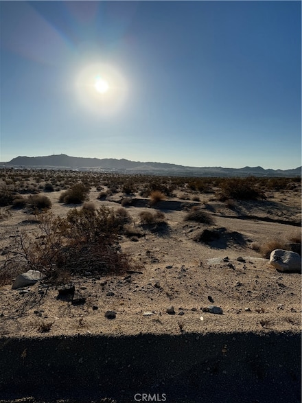 0 Rice Ave Unit CV24217508, Joshua Tree, CA 92277