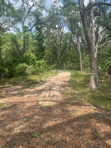 200 NE 364th Ave, Old Town, FL 32680