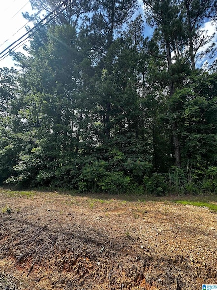 0 Sandy Dr Unit 69 21420182, McCalla, AL 35111