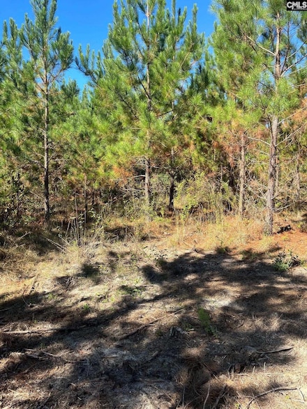 Bff 1e Brunson Teal Rd Unit Bff 1e, Patrick, SC 29584