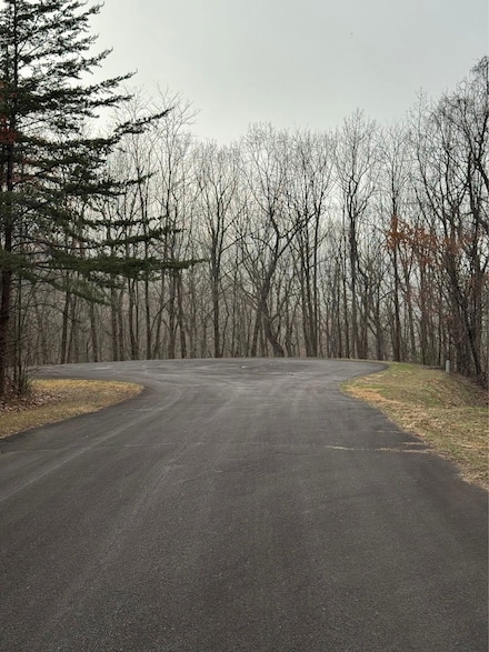 0 Lot 84 Baltusrol Run Unit LotWP001, Ellijay, GA 30356