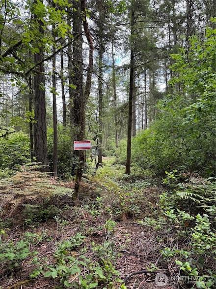 11913 Country Club Dr, Anderson Island, WA 98303