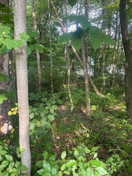 1256 W Boylston St, Worcester, MA 01606