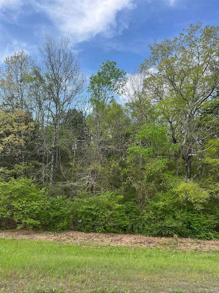 Lot 5 Lynch Rd, Clinton, AR 72013