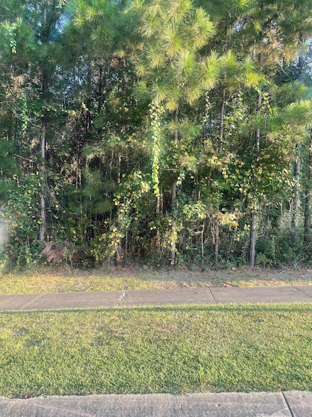 44 Baneberry, Hattiesburg, MS 39402