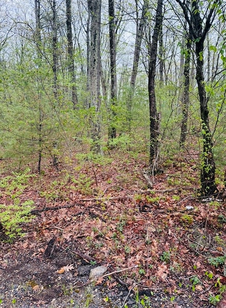 48 Mill Rd Lot 2e, North Brookfield, MA 01535