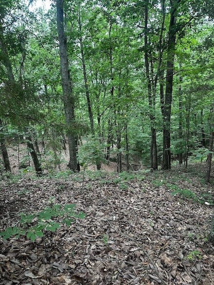 0 Bentley Park Dr NW Unit LotWP001 23880197, Cleveland, TN 37312