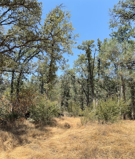 6820 Rancheria Creek Rd, Midpines, CA 95345