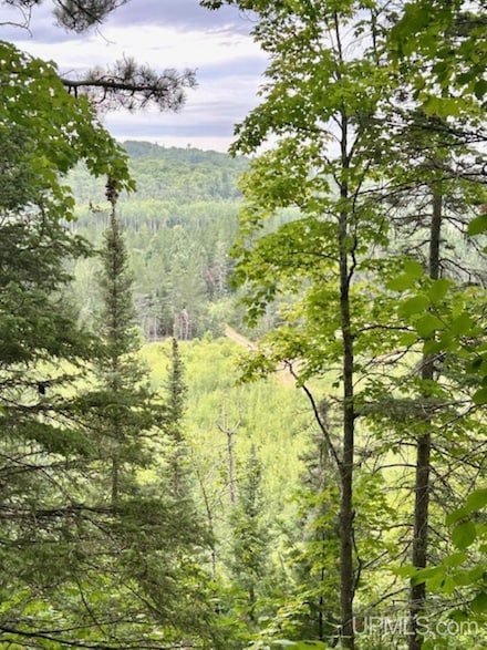 TBD Willow Creek Rd, Ishpeming, MI 49849