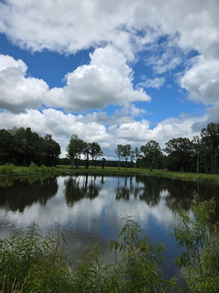 3097 Louisiana Hwy 966, Saint Francisville, LA 70775