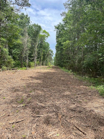 800 W Tram Rd, Vidor, TX 77662