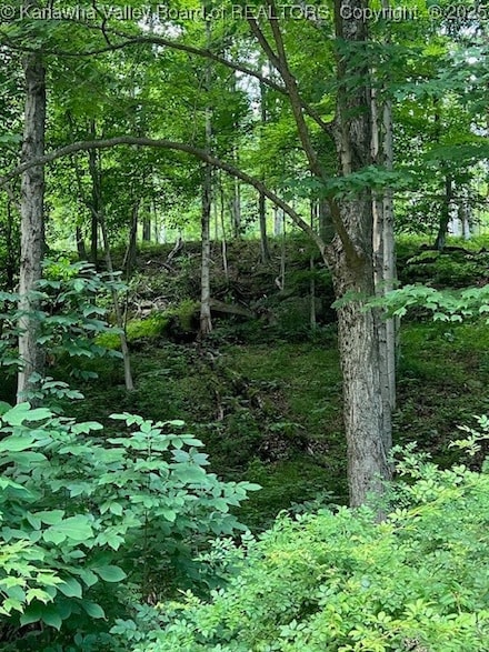 0 Tuppers Creek Rd Unit 278943, Poca, WV 25320