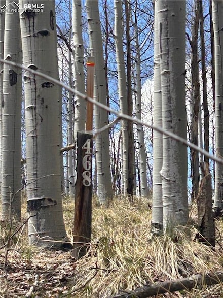 178 Summit, Lake George, CO 80827