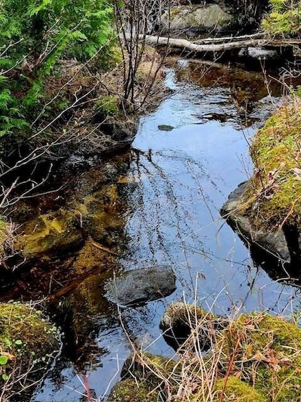 Lot 6, Oakfield, ME 04763