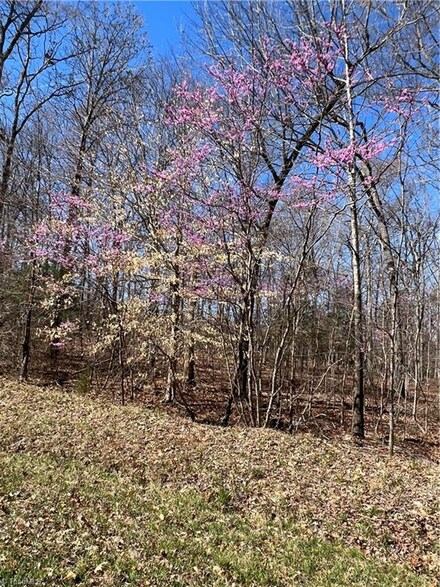 00 Tigers Den Rd, Randleman, NC 27317