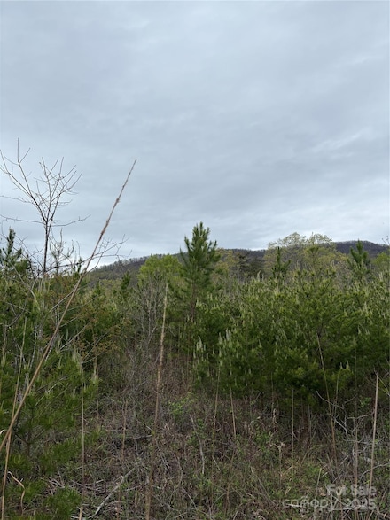0 Rose Hollow Dr, Mill Spring, NC 28756