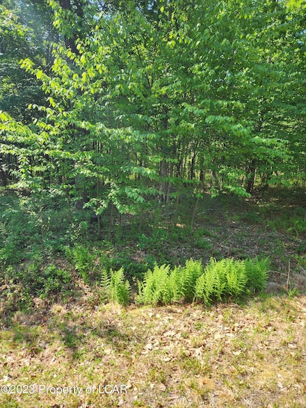 464 TT Maple Ln, Hazle Township, PA 18202