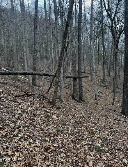 TBD Roan Creek Rd, Butler, TN 37640