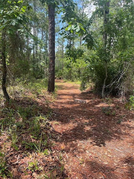 5419 Firethorn Point, Spring Hill, FL 34609