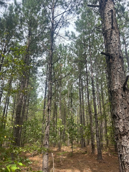 2606 Bullard Ford Rd, Hartsville, SC 29550