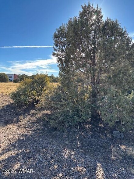 8413 Navajo Dr, Show Low, AZ 85901