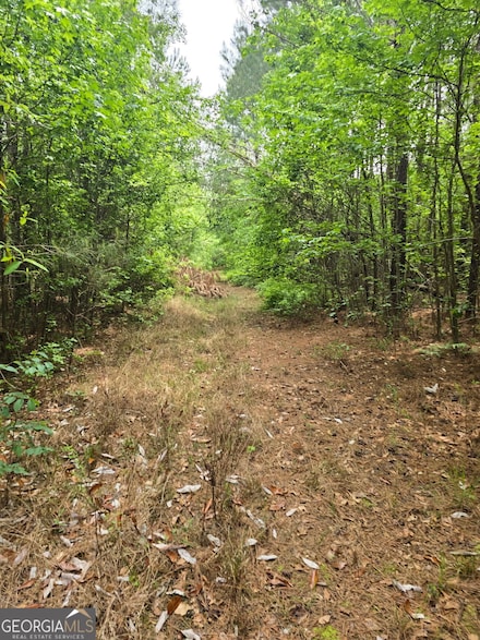 0 S Us Highway 1 Unit 10505586, Wadley, GA 30477
