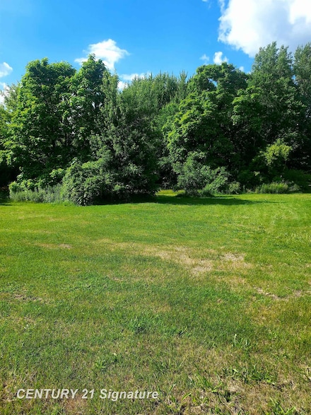 11038 Farrand Rd, Montrose, MI 48457