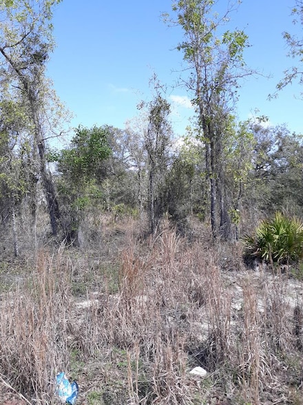 Lot 20 NE 62nd St, Williston, FL 32696