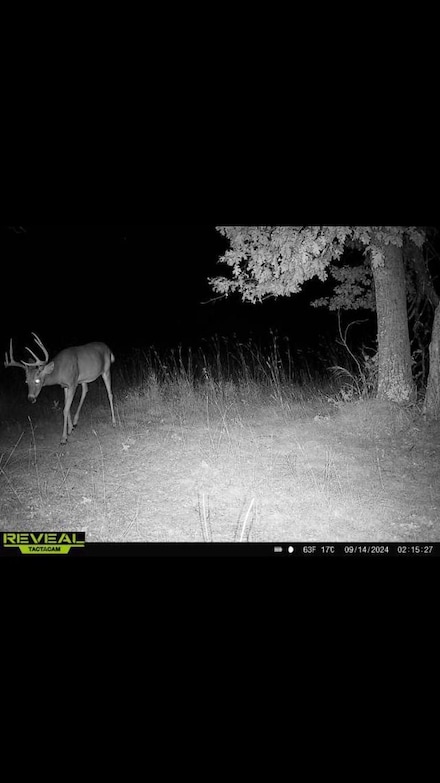 xxx Gould Gray Rd N, First Assessment, MN 56401