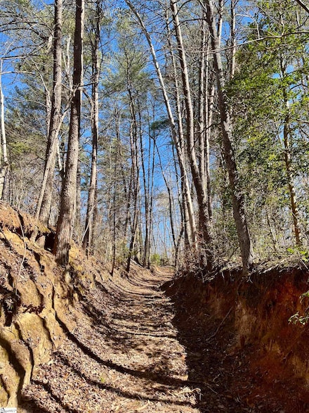 00 Landrum Creek Rd, Marietta, SC 29661