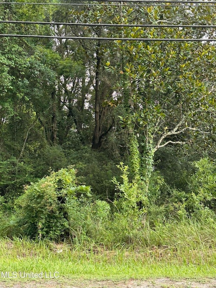 9872 Saracennia Rd, Moss Point, MS 39562