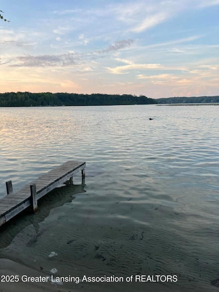 19102 Birch View Trail, Lake Ann, MI 49650