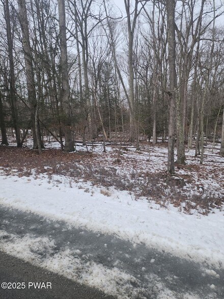 717 Paper Birch N, Tafton, PA 18464