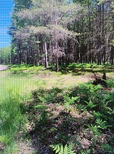 4496 Julie Ln, Richfield Township, MI 48656
