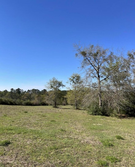 75 Acres Florida 81, Ponce de Leon, FL 32455